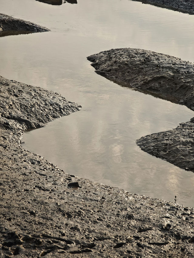 5天玩轉泉州等地超全攻略建議收藏