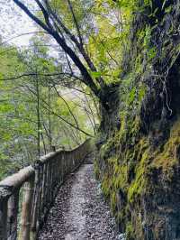 貴州貴陽紫江地縫闖入貴州「地心之門」