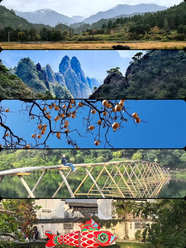贛皖浙｜賞秋深度遊