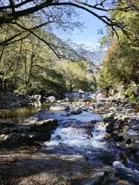 自駕分享: 武夷山國家公園一號風景道
