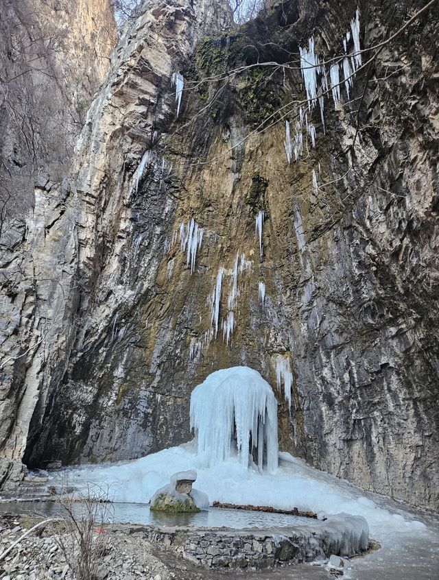 攀越絕壁 · 洞見神鷹 | 九里溝秘徑探幽指南 攀越絕壁 · 洞見神鷹 | 九里溝秘徑探幽指南