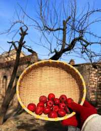 不敢想像這裡的夏天有多美