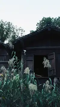 嘉興不要只去烏鎮啦!!這個古鎮人少景美