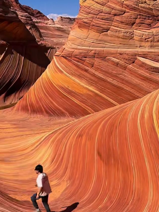 大自然的水墨畫！