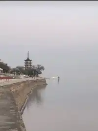 上海週末11|我在乾隆故里拍到了鵝生照片