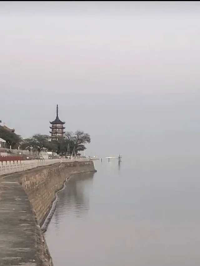 上海週末11|我在乾隆故里拍到了鵝生照片