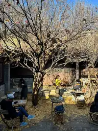 北京冬天 個胡同深處的大隱隱於市 