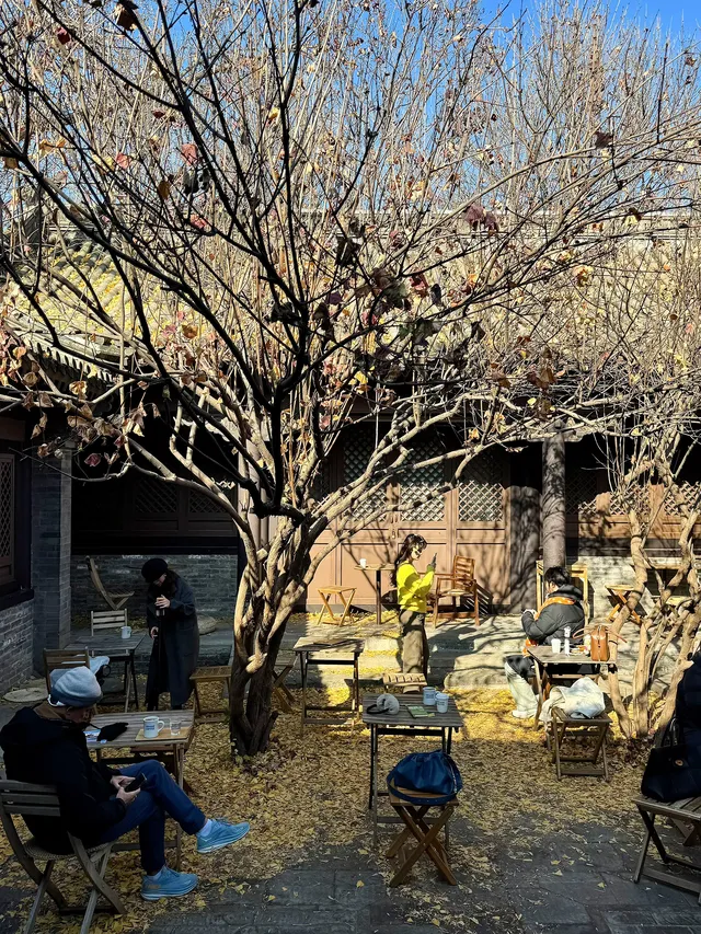 北京冬天 個胡同深處的大隱隱於市 