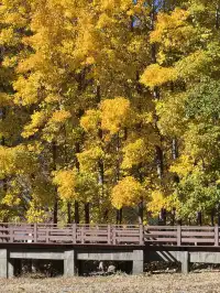 在瀘沽湖酒店看到晨霧！12.5實拍