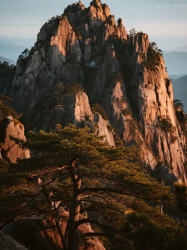 黃山冬日親子雪遊！免票攻略輕鬆打卡～
