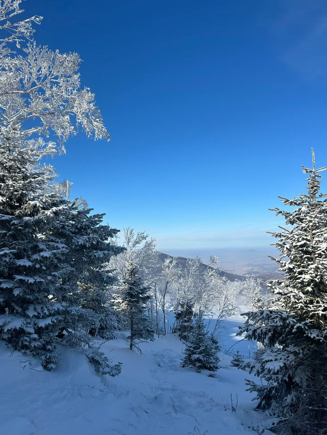 Winter Wonderland Vibes at Beidahu Ski Resort 🇨🇳❄️ Winter Wonderland Vibes at Beidahu Ski Resort 🇨🇳❄️