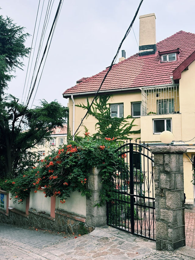 青島地鐵遊保姆級攻略坐著地鐵逛遍青島! 青島地鐵遊保姆級攻略坐著地鐵逛遍青島!