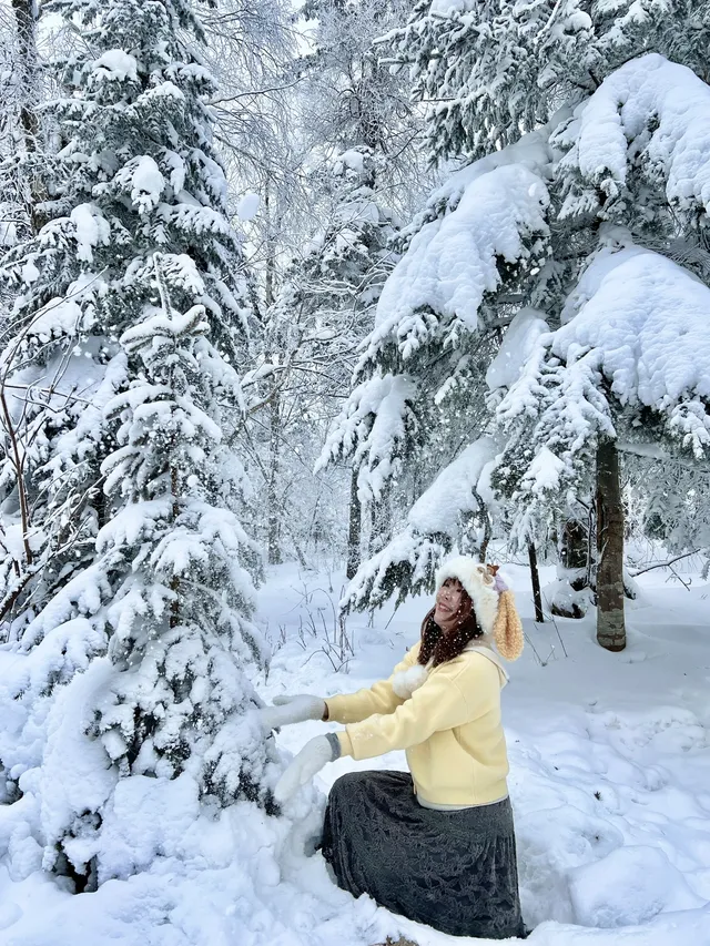 長白山雪嶺聖誕樹林裡的夢幻日落(附攻略) 長白山雪嶺聖誕樹林裡的夢幻日落(附攻略)