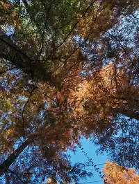 第三次暴走村!宏村塔川徒步太絕了