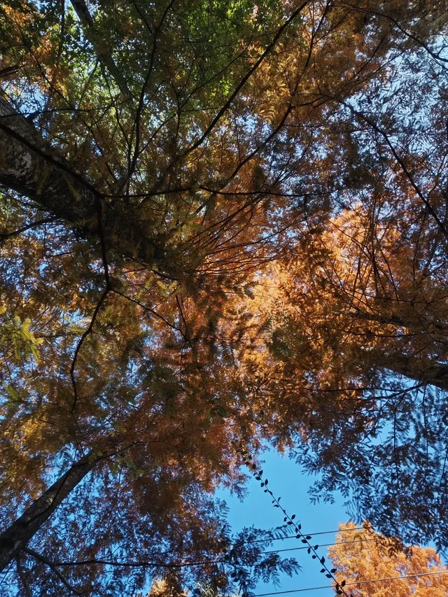 第三次暴走村!宏村塔川徒步太絕了 第三次暴走村!宏村塔川徒步太絕了