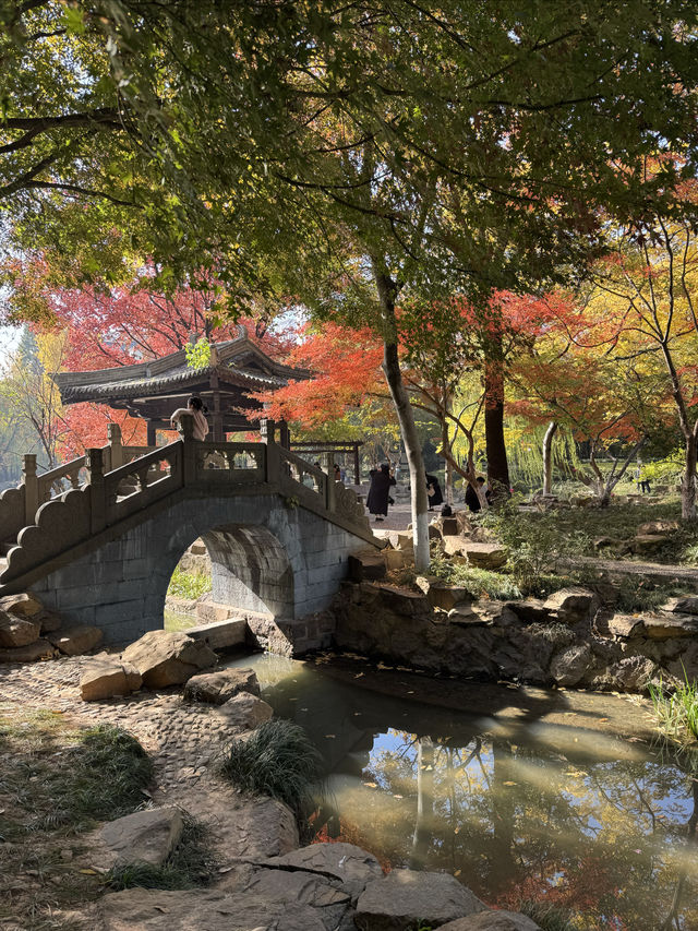 一座公園愛上一座城|我見到駱賓王詩裡的鵝 一座公園愛上一座城|我見到駱賓王詩裡的鵝