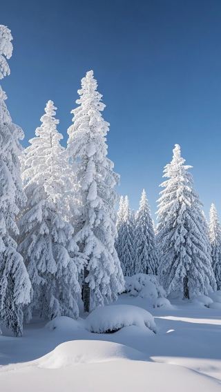 Ice and Snow Fairy Tale: China-North Korea Border
