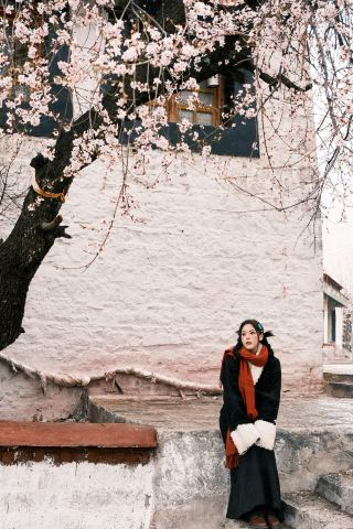 Complete Guide to Photographing Peach Blossoms at Pabongka - Lhasa's Spring Exclusive