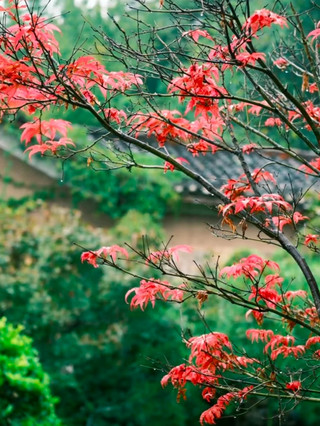 Secretly Treasured Yichang’s Stunning Ancient Village