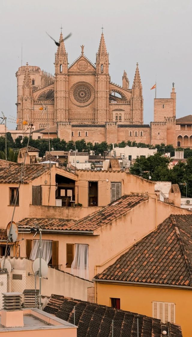 Palma Cathedral A Poem Of Light And Shadow By The Mediterranean Sea palma-cathedral-a-poem-of-light-and-shadow-by-the-mediterranean-sea