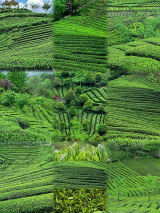 A hidden gem resort town in southern Shaanxi, a green and secluded paradise!