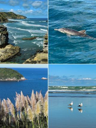 Escape to the Southern Hemisphere for winter this summer? A complete guide to New Zealand adventures