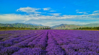 6 Stunning Summer Destinations: Mountains, Forests, Lakes, and Seas Await You in the Next Three Months