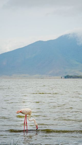 East African Great Migration 6: Ngorongoro, Tanzania Travel Photography