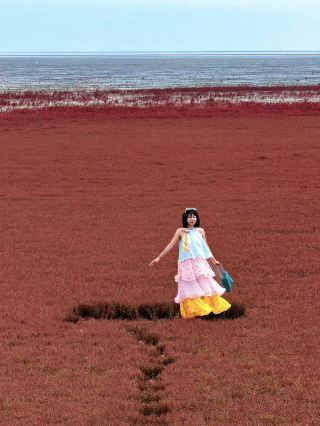 I made a special trip to Panjin Red Beach just for these 18 photos