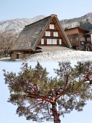 6-day complete Japan travel guide to make the most of your trip