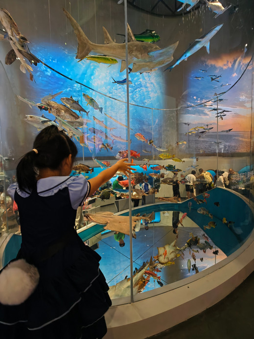 深圳の子ども連れ新スポット｜坪山自然博物館 7.28 開館 | Trip.com 深セン