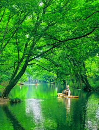 Skip the crowds at Hongcun! This free green wonderland in Huangshan will take your breath away
