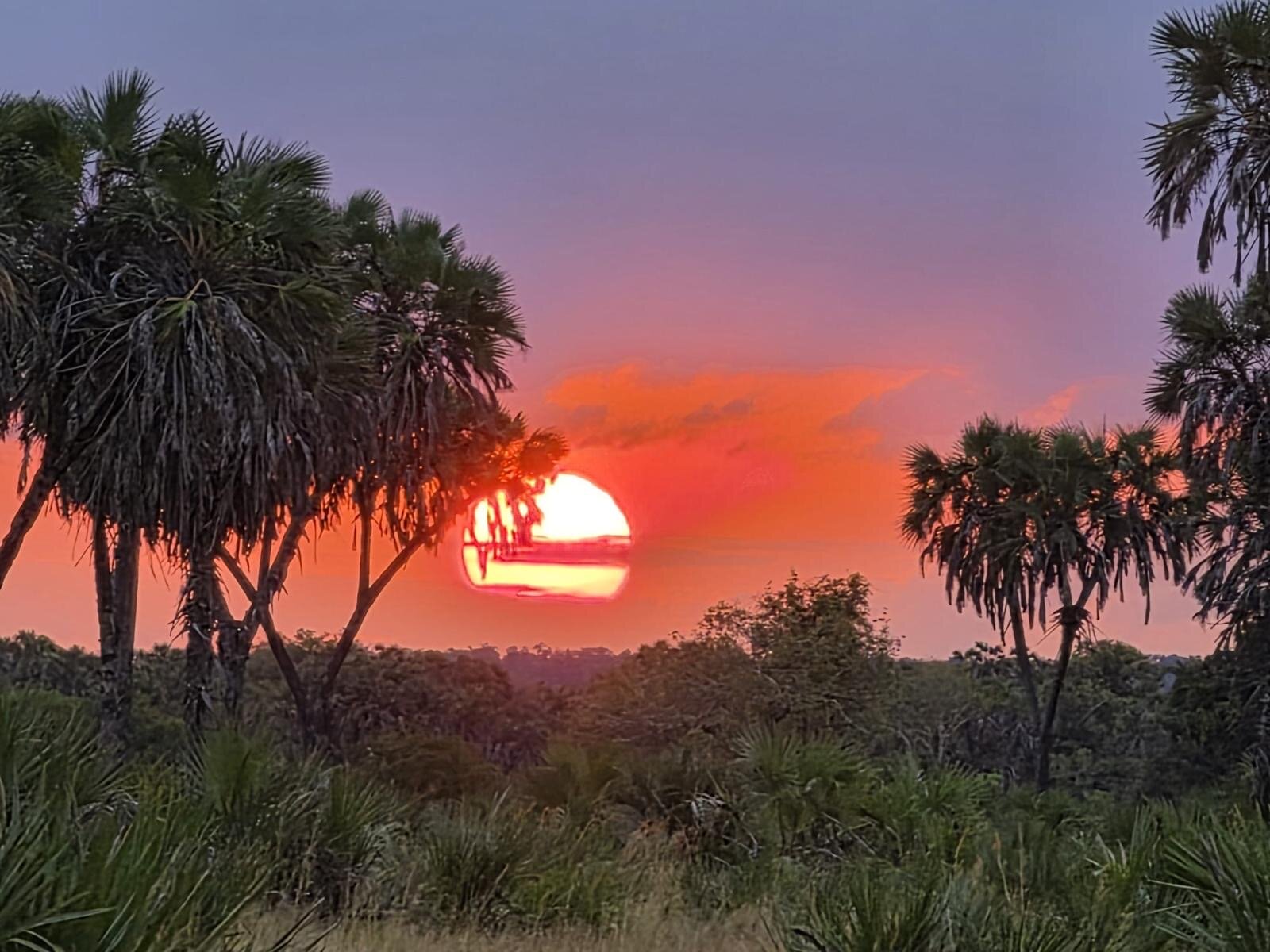Exceptional Travel Experience with Roy Safari