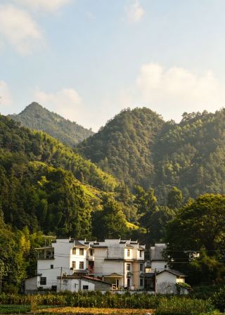 Huangshan Premium Boutique Homestay: Huangshan QuPai Homestay for an Immersive Experience