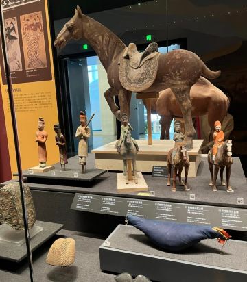 新疆ウイグル自治区博物館｜千年のシルクロードを巡り、神秘的な西域の