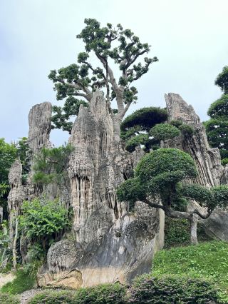 This has to be the most beautiful private garden in Foshan, right?!
