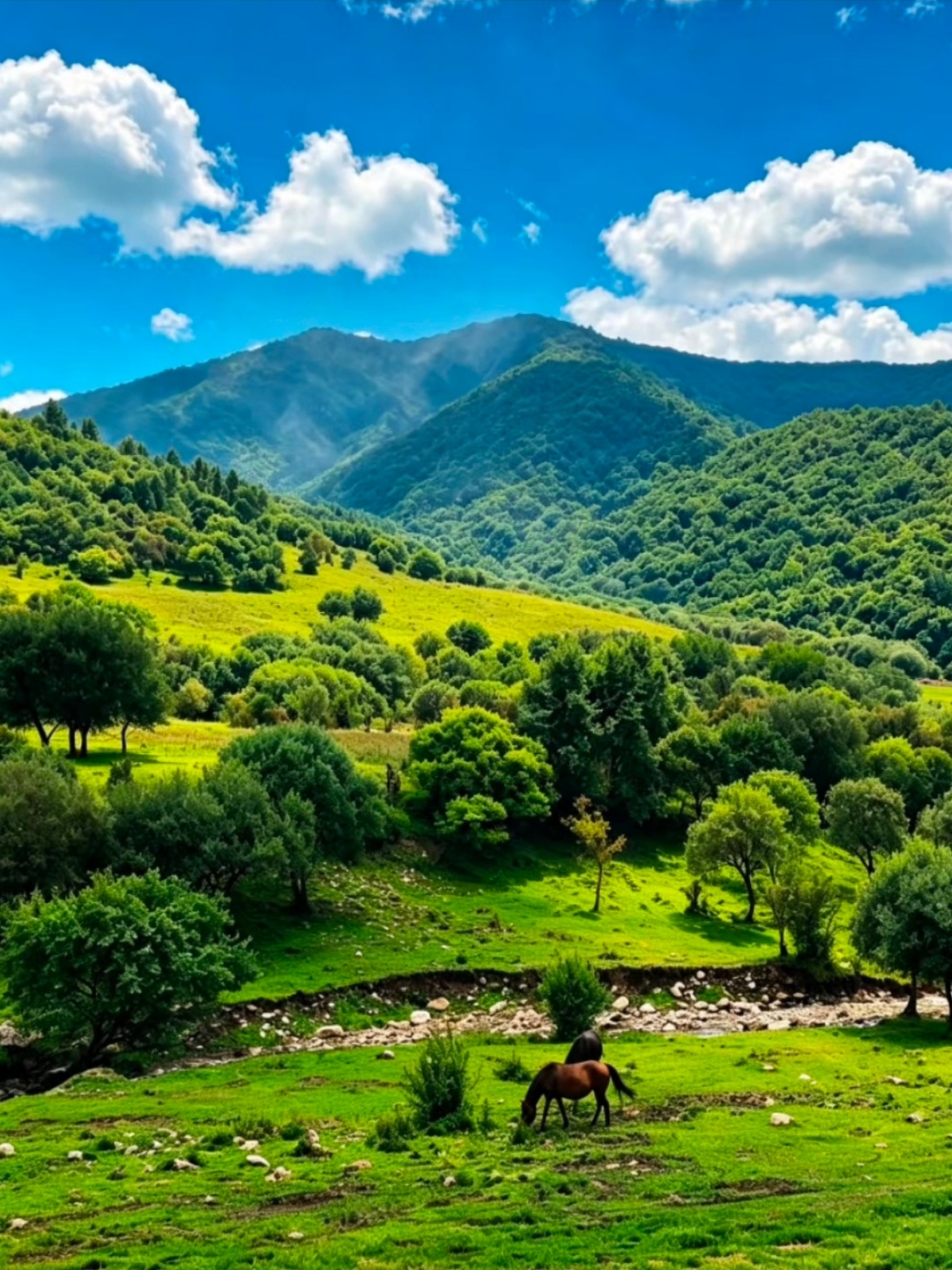Road Trip Guide to a Hidden Grassland Gem