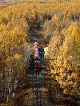 Step into a world of oil paintings! Autumn in Hulunbuir—miss it, and you'll have to wait a whole year