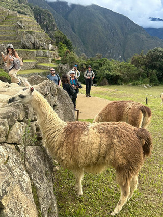 It's finally my turn to post my Machu Picchu notes. The City in the Clouds is truly a hundred times more breathtaking than in photos. I read countless guides before leaving, but 