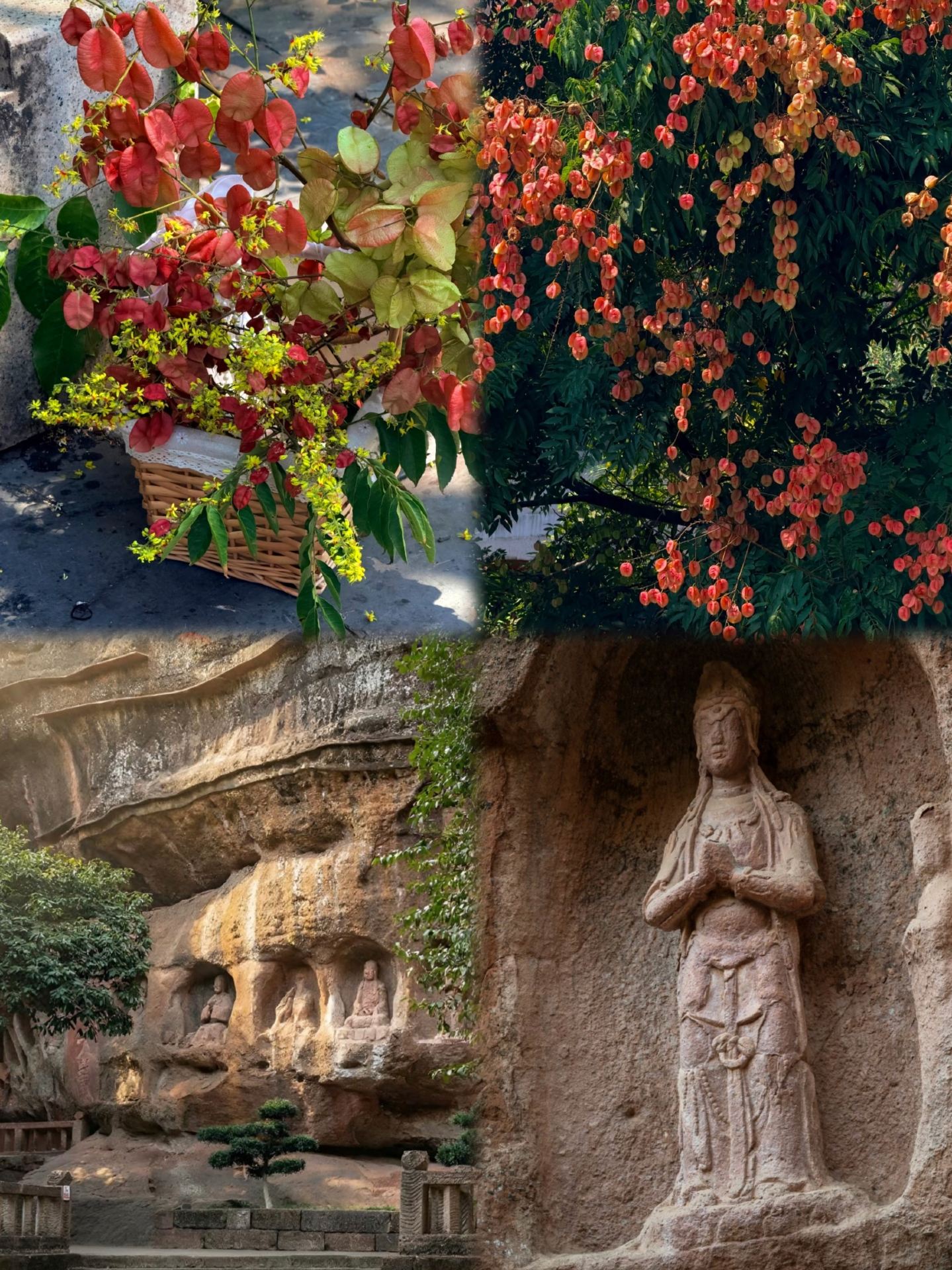 Tôi vừa trở về sau chuyến đi bị lừa đảo ở Ganzhou, và sau bốn ngày lưu trú, tâm lý người tiêu dùng của tôi đã hoàn toàn sụp đổ.