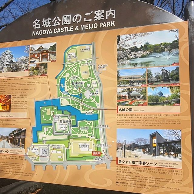 名古屋城外的美食街【金鯱橫丁】