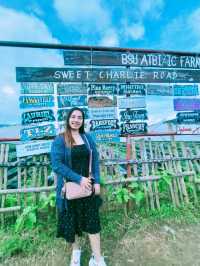 Starwberry Farm