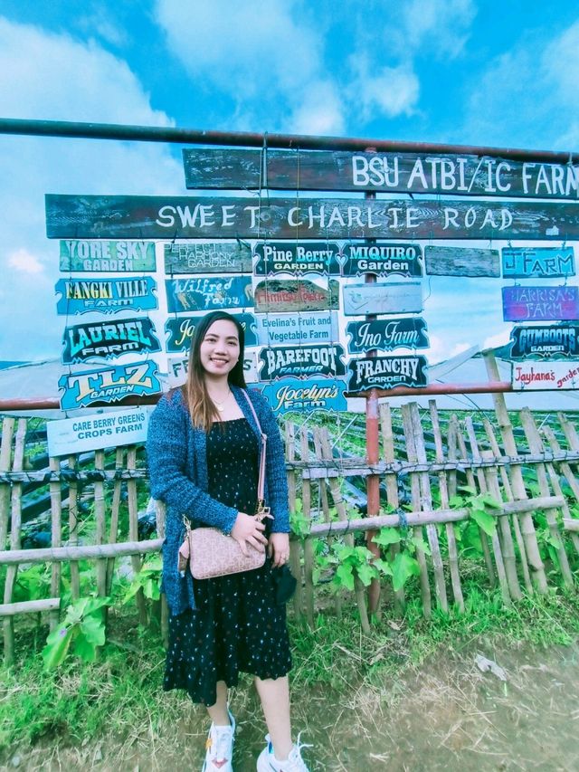 Starwberry Farm