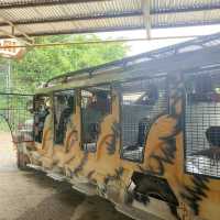 A Superb Experience in Zoobic Safari Subic