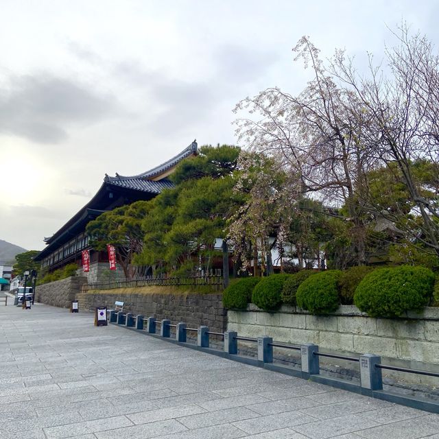 長野市的名勝善光寺及城山公園