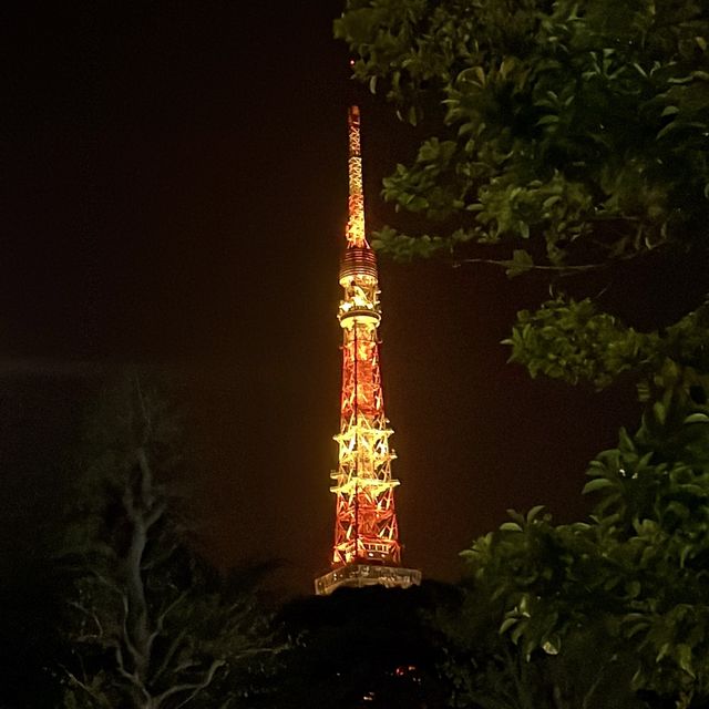 숨은 도쿄타워 관람 명소🗼