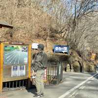 【長野県】白糸の瀧に行こうとしたけど行けなかった