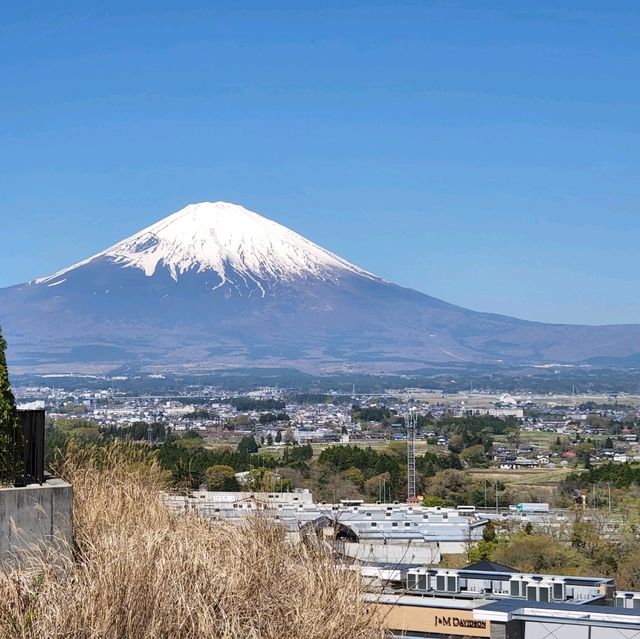 Mount Fuji view hotel