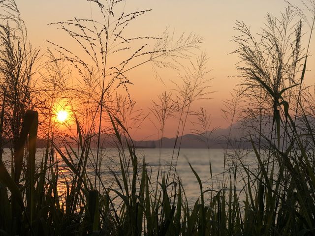 Sunset in Sha Wan Drive