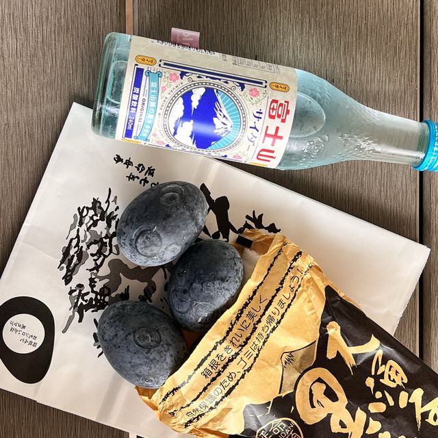 도쿄 근교 “하코네 당일치기”
